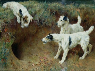 Draadhaarige foxterriërs bij een dassenburcht door Arthur Wardle