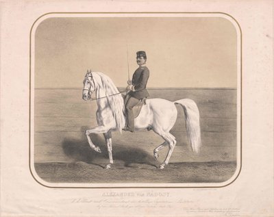 Alexander von Nadosy-Nadas door Artist Unknown