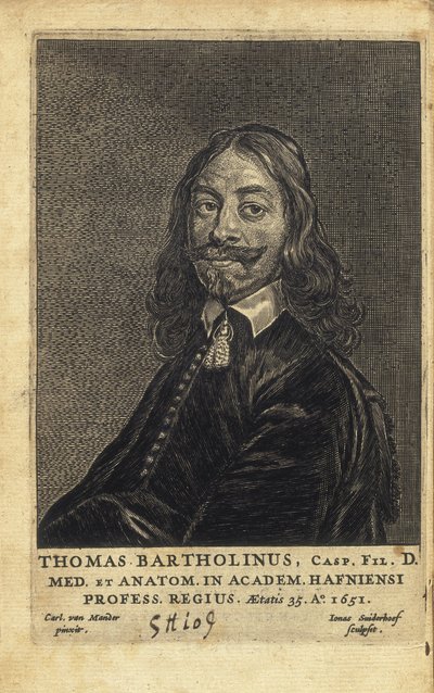 BARTHOLIN, Thomas (1616-1680). Deense arts, wiskundige en theoloog. Hij is vooral bekend om zijn werk in de ontdekking van het lymfestelsel bij mensen en zijn vooruitgang in de theorie van koelverdoving, als eerste beschreven. door Artist Unknown