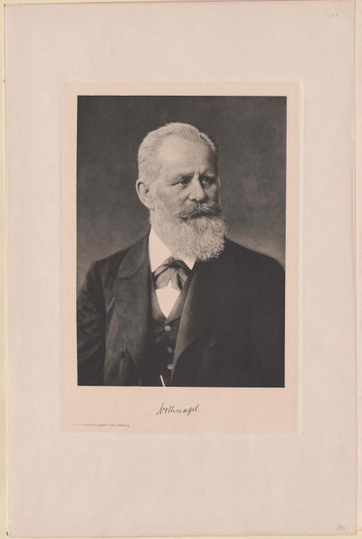 Hermann Nothnagel door Artist Unknown