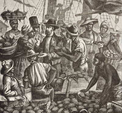 Geschiedenis van Engeland (19e eeuw). Kolonisatie (1880). Bahama verkoopt ananassen. Engelse kolonie op New Providence Island. Ananassen waren een van de belangrijkste exportproducten uit de haven van Nassau. Gravure. Privécollectie door Artist Unknown