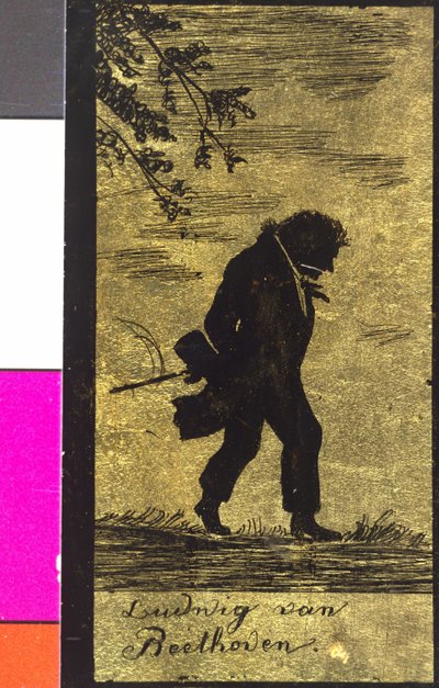Ludwig van Beethoven door Artist Unknown