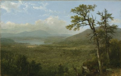 Adirondack Mountains, N.Y., 1870 door Asher Brown Durand