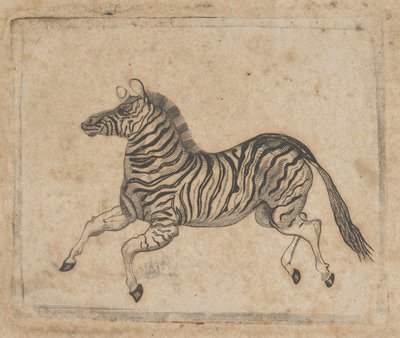 Bankbiljet vignette met een zebra, ca. 1824-37 door Asher Brown Durand.