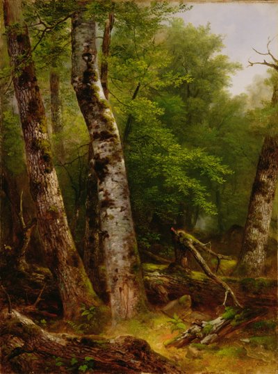 Berken en Esdoorns door Asher Brown Durand