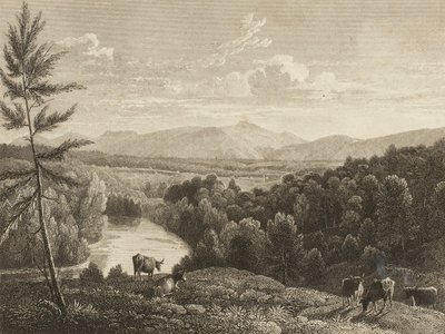 Catskill Bergen door Asher Brown Durand