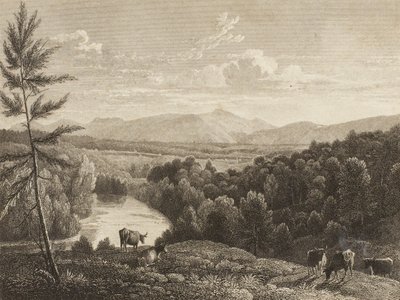 Catskill Mountains door Asher Brown Durand