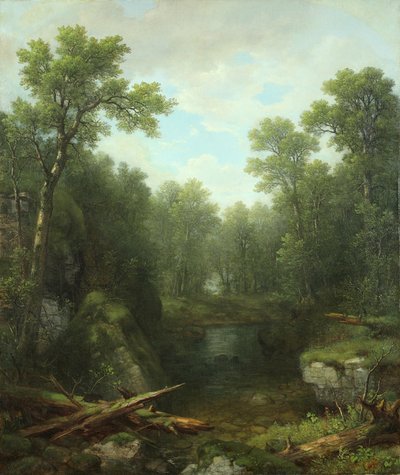 Chapel Pond Brook, Keene Flats, Adirondack Mountains, New York, 1871 door Asher Brown Durand
