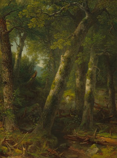 Bos in het ochtendlicht door Asher Brown Durand