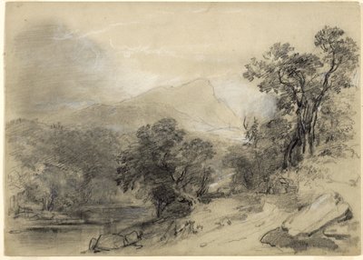 Studie voor Landschap-Compositie: In de Catskills door Asher Brown Durand