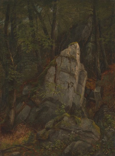 Studie van rotsen in Pearson