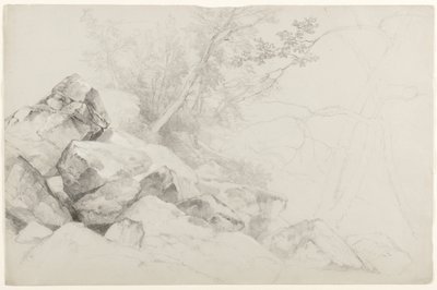 Studie van rotsen met bomen, Den Haag, Lake George, New York, 1862 (grafiet op grijs papier) door Asher Brown Durand