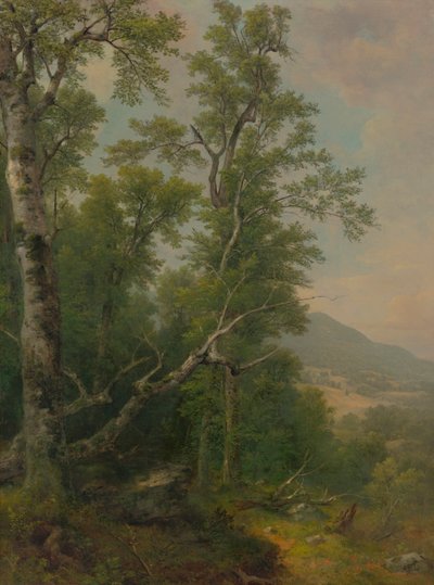 Studie van bomen door Asher Brown Durand