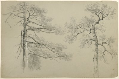 Studie van Twee Bomen, Hague, Lake George, New York, 1862 door Asher Brown Durand