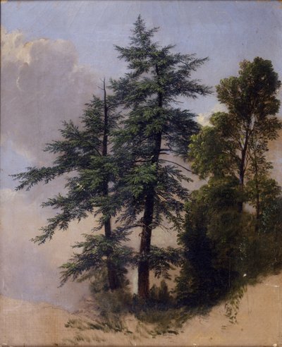 Boomstudie, Newburgh, N.Y., 1849 door Asher Brown Durand