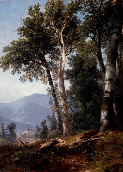  door Asher Brown Durand