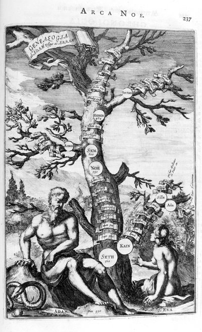 Stamboom van Adam, 1675 door Athanasius Kircher