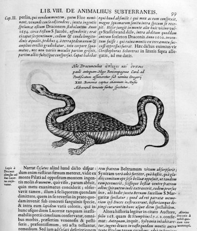 Kleine draak, 1678 door Athanasius Kircher