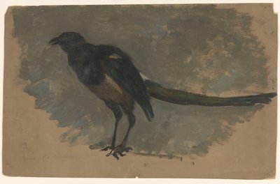 Studie van een ekster door August Allebe