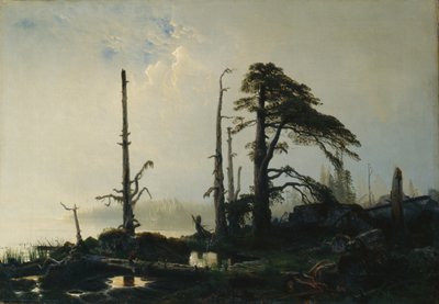 Meer in mist door August Cappelen
