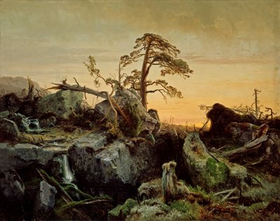 Stervend oerwoud door August Cappelen