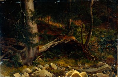 Studie van bosbodem (schilderij) door August Cappelen