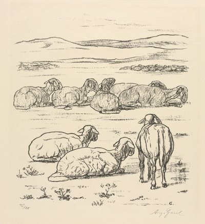 Schapen door August Gaul