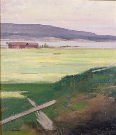 Landschap met een hek, Norrland, Zweden door August Hagborg