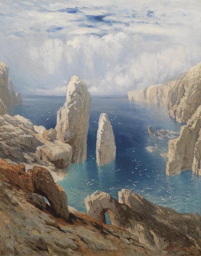 Steile kust door August Schaeffer von Wienwald