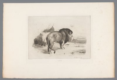 Leeuw door Auguste Andre Lancon