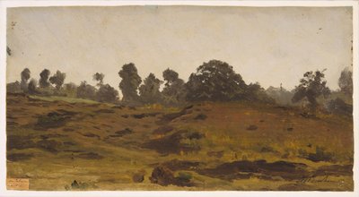 Uitzicht op een Veld door Auguste Francois Bonheur