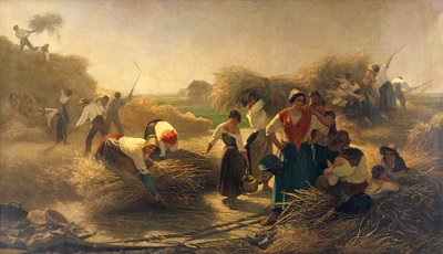 Koolzaad Dorsen in de Velden van Lille door Auguste Joseph Herlin