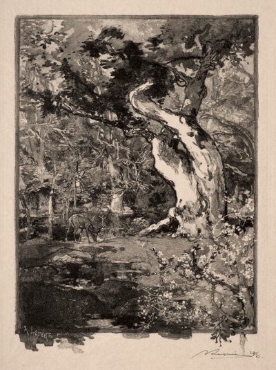 Le Clovis, Plateau de Bellecroix, 1890 door Auguste Louis Lepère