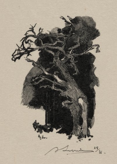 De woedende door Auguste Louis Lepère