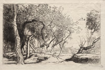 De Gedraaide Boom door Auguste Louis Lepère