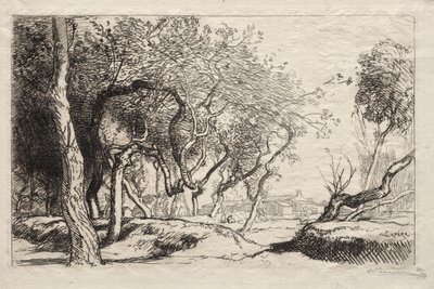 De Gedraaide Boom, 1915 door Auguste Louis Lepère