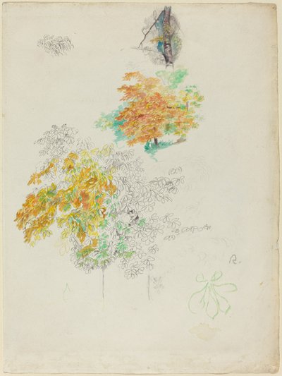Studies van bomen door Auguste Renoir