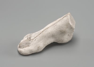 Rechtervoet door Auguste Rodin