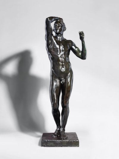 De Eeuw van Brons; L