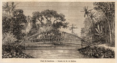 Een bamboebrug in de jungle, nabij de Salak-berg. Tekening door M. de Molins, ter illustratie van zijn reis naar Java door Auguste de Molins