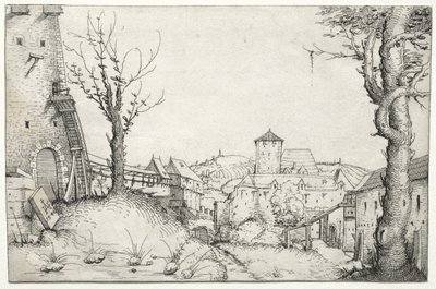 Binnenplaats van een Kasteel door Augustin Hirschvogel