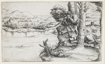 Eendenschieten met Vuurwapens, 1545 door Augustin Hirschvogel