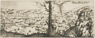Landschap met een Boom in het Midden van de Voorgrond door Augustin Hirschvogel
