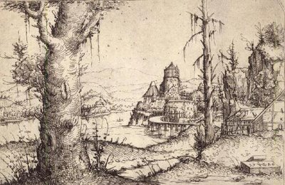 Rivierlandschap met een stevige boom door Augustin Hirschvogel