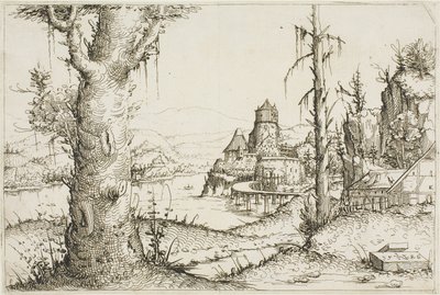 Rivierlandschap met Grote Boom op de Voorgrond door Augustin Hirschvogel