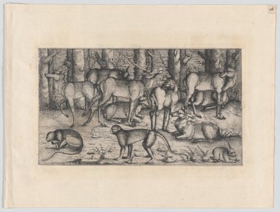 Herten in het bos, 1545 door Augustin Hirschvogel