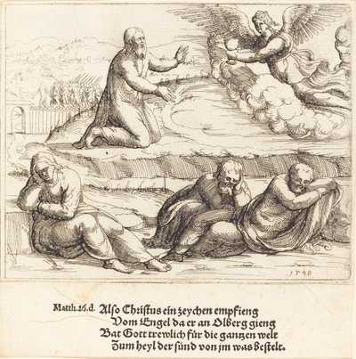 De doodsangst in de tuin door Augustin Hirschvogel