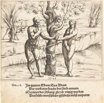 De val van de mens, 1548 door Augustin Hirschvogel