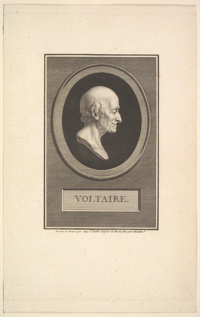 Portret van Voltaire door Augustin de Saint Aubin