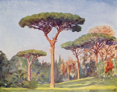 Rotsdennen, Villa Floridiana door Augustine Fitzgerald